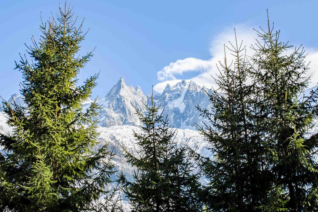 Chalet La Source - Chamonix All Year Екстериор снимка